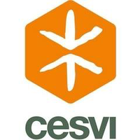 Cesvi Zimbabwe