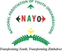 National Association of Youth Organisations - NAYO